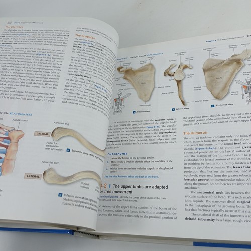 Fundamentals of Anatomy and Physiology 10th Edition Global Martini Nath 2015 H/C - Picture 11 of 11