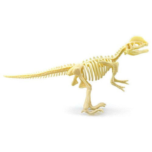 7 Pieces Dinosaur Skeleton Toys Assorted Bones Figures Toys for Children - Picture 11 of 12