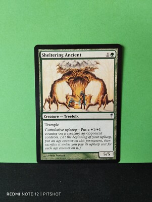 Sheltering Ancient / Schützender Baumältester - MTG Magic