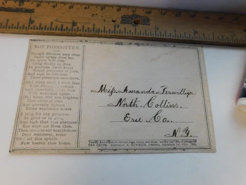 CIVIL WAR DOCUMENT- Erie County New York NOT FORGOTTEN North Collins Terwilliger