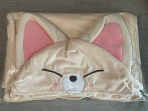 Skzoo Blanket | eBay
