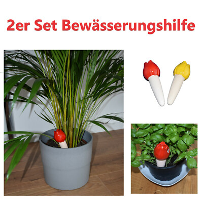 BURI Irrigatore Per Radici 30cm - Set Da 6 Pezzi - Guida Per Acqua E Fertilizzante In Plastica Robusta