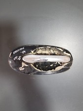 Porte arrière et accessoires Kia CARNIVAL