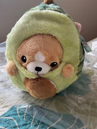 squishable avocado corgi