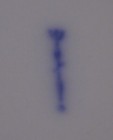 Bild 6 von 14