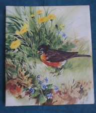 Vintage Hallmark photo album/scrapbook w/image of a Robin bird Dandelions