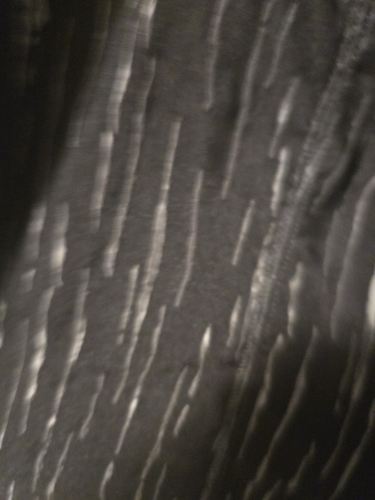 Ruby Rd Jacket 12 Petite Button Front Womens Shor… - image 14