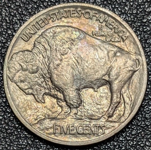 1913 Type 1 Buffalo Nickel 5C - Gem Unc! Full Horn! - Ships Free!