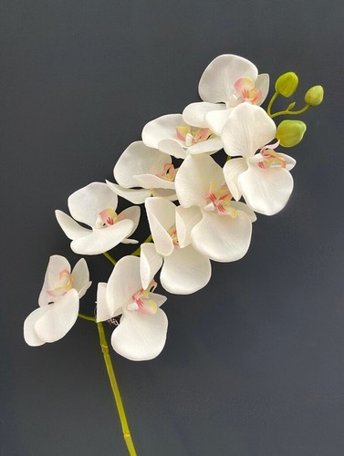 Orquídeas seda Sia flores en diferentes colores aprox. 1 m de largo - Imagen 2 de 6