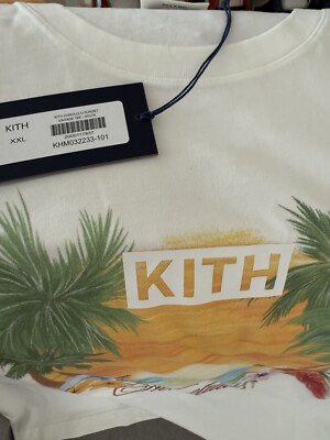 KITH ハワイ限定　VINTAGE TEE L ホワイト KITH ハワイ限定 VINTAGE TEE L ホワイト