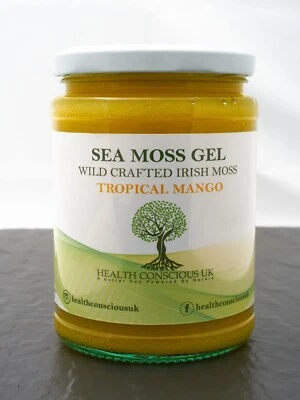 HEALTH CONSCIOUS UK 100% Organic St Lucian Sea Moss Gel /500ml /Mango Infused /Dr. Sebi
