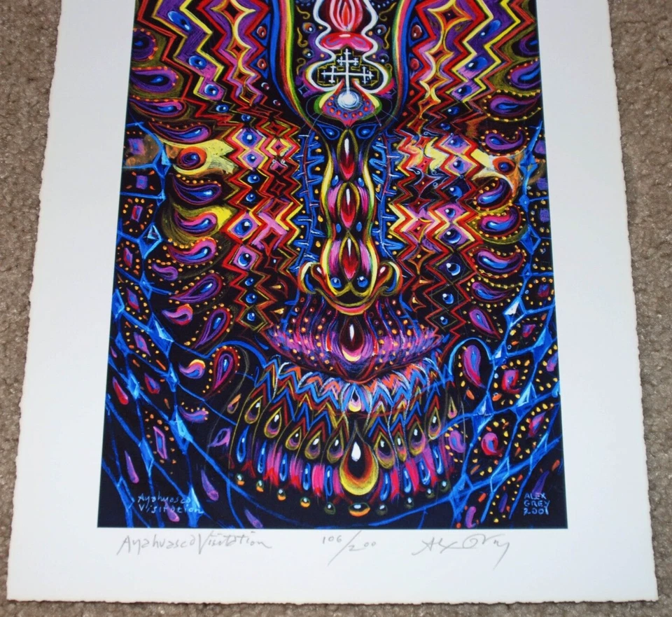 Alex Grey Art Print Ayahuasca Visitation S/# 200 Psychedelic Third Eye Poster - Image 3 of 4