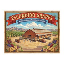 Escondido California Grapes 1950s Retro Style Fruit Crate Label 10.5" x 8"