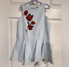 Janie and Jack Light Blue Dress with Red Floral Embroidery Size 3