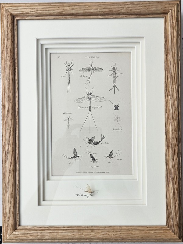Ted Patlen - Custom Shadow box Framed Fishing Fly And Antique Reference Art