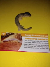 "NEW" YOWIE... .. Pygmy Blue Tongue Lizard