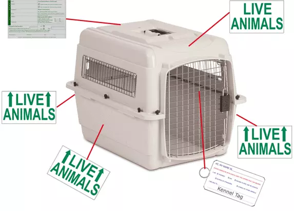 Live clearance animal crate