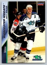 Matt Walker 2002-03 Worcester IceCats