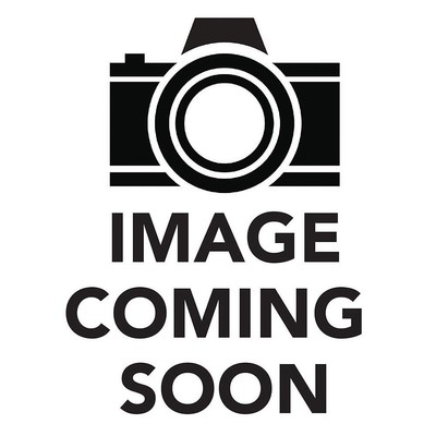 Vizslas (Complete Pet Owner's Manuals) - Pinney D.V.M., Chris - Acceptable -...