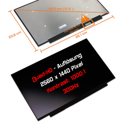 17,3'' LED Display matt passend für Medion Erazer Defender P40 2560x1440 240Hz