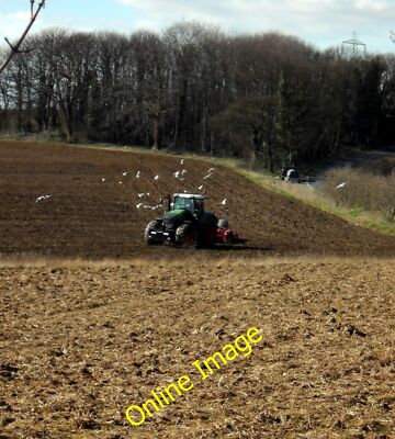 Photo 12x8 A Harrowing experience New Fryston Gulls follow a tractor harro c2012