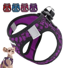 Soft Breathable Mesh Small Dog Vest Harness for Puppy Cat Pet Chihuahua Yorkie