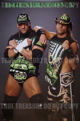 D-Generation X Triple H Shawn Michael Pro Superstar Wrestling