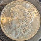 1883 P US Morgan Silver Dollar  ~ BU ~