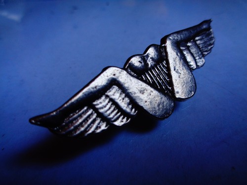 Bush Pilot Pin Motorcycle Biker Club Vest Wings Jacket Hat Shirt Lapel Badge