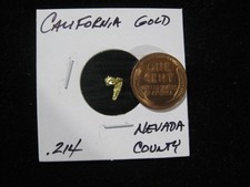 CALIFORNIA GOLD NUGGET .214 GRAM NEVADA COUNTY 6684.34 per troy oz