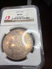 Slightly Toned 1878-S Morgan Dollar NGC MS64. Item No 13