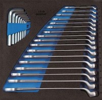 Gedore Werkzeugmodul 1500 CT2-1 B 25 Teilig 2/3-Modul Ringmaul-/StiftschlüSsel