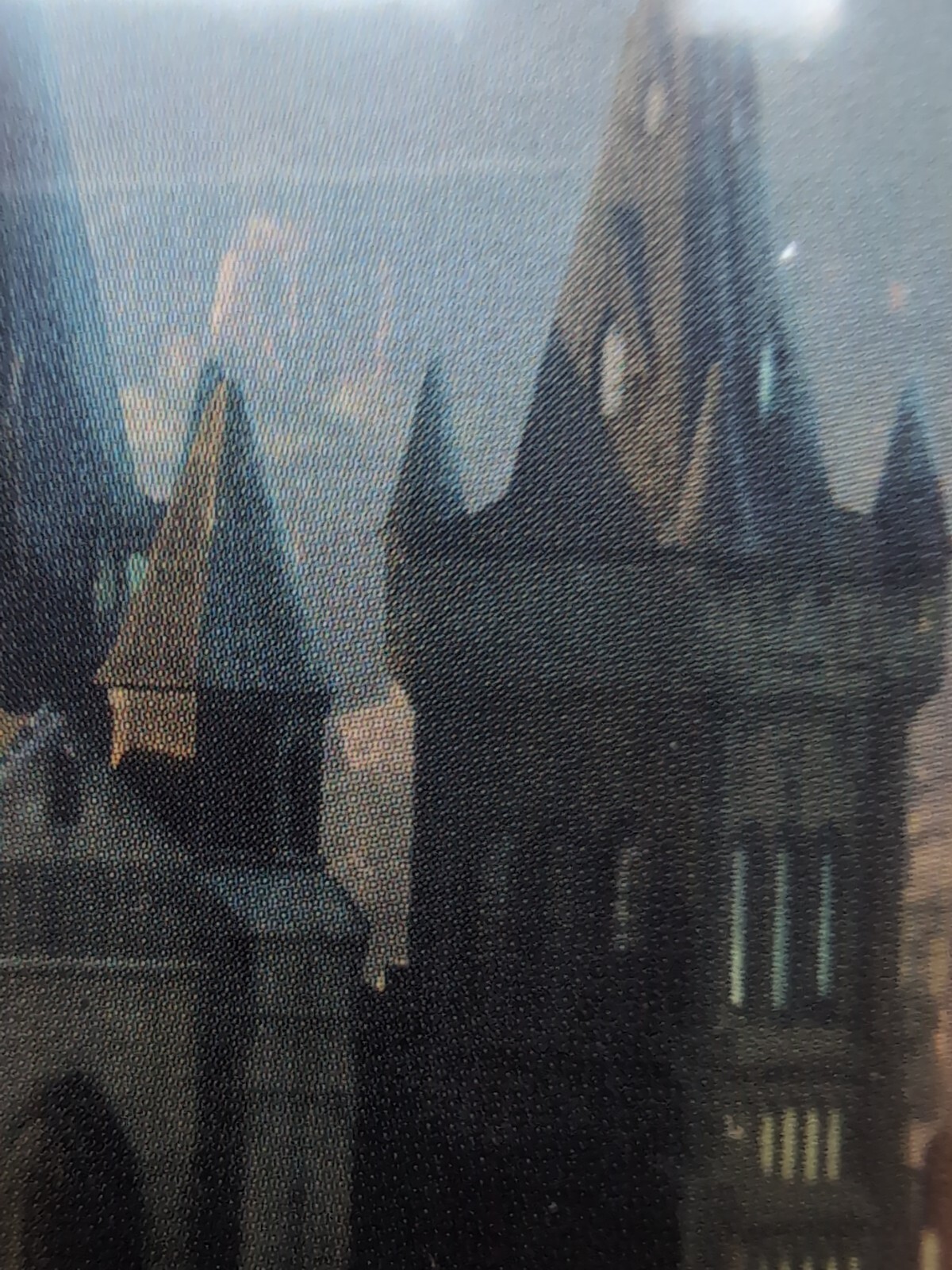 Picture 8 of 12