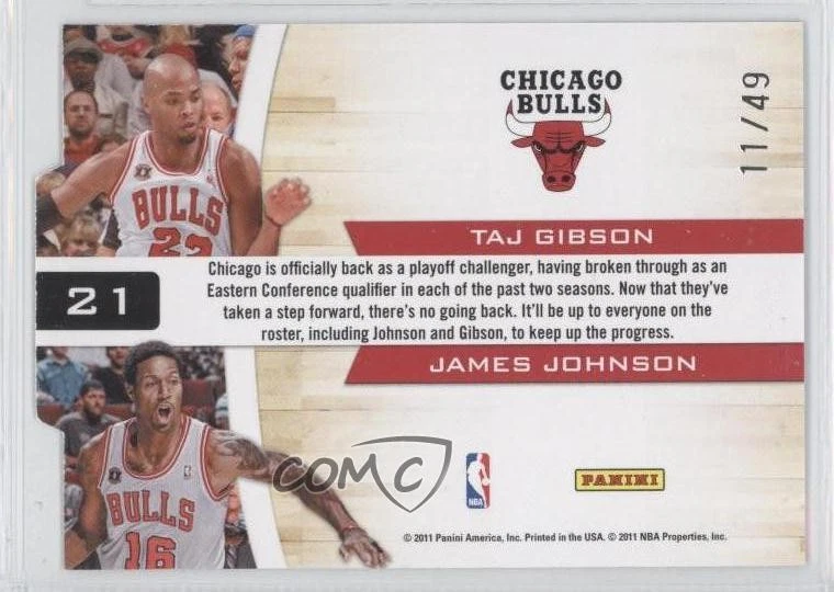 2010 Playoff Contenders Patches Black Die-Cut /49 Taj Gibson James Johnson #21 - Image 2 of 2