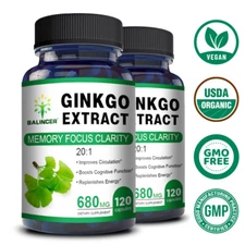 Ginkgo Extract - Memory, Mental Focus and Brain Enhancement Supplement