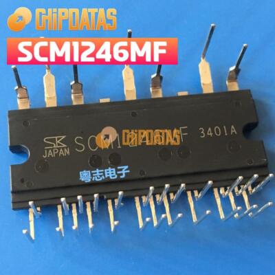 1PCS NEW Module SANKEN SCM1246MF IC #R08