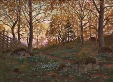 Spring Landscape at Dusk Oil Painting Giclee Art Printed on canvas L3738