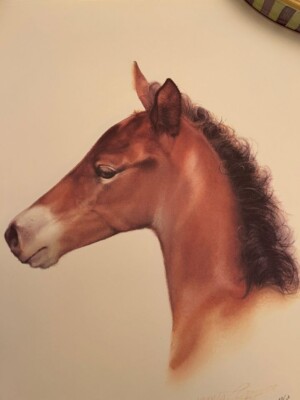 New  The Filly  - Signed Limited Edition Print - James L. Crow