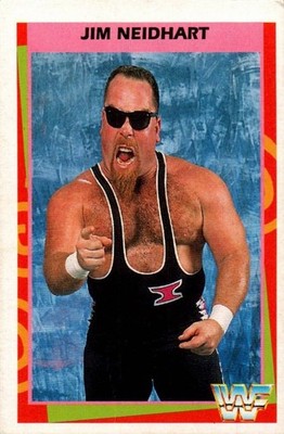 1995 WWF Merlin - Jim Neidhart #9 - hasbro ljn titan sports wcw