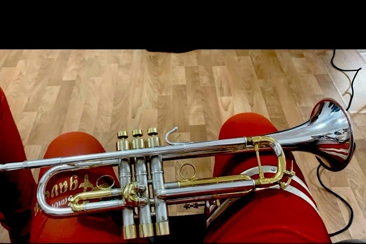 bach stradivarius trumpet case products for sale | eBay