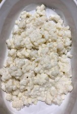 Kefir Grains 15 grams 1 TBSP. Organic California Pasteurized Whole Milk