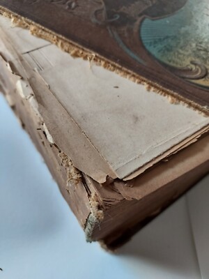 Bilz Natural Healing Process German Medical Book Old Bilz Natural Healing Process German Medical Book Old