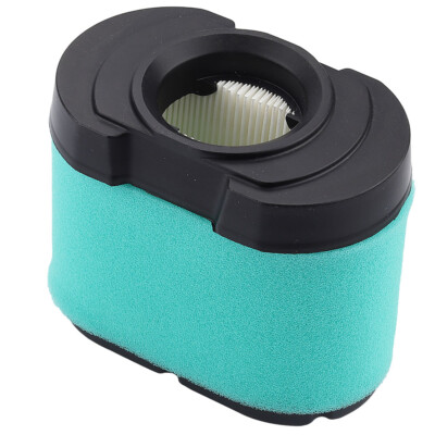 Filtro Aria 792105 (Briggs & Stratton) A 42,55 € - GMV Agricenter - Foto 3