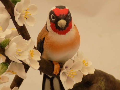 RSPB1 979 Cardellino Europeo Franklin Mint Limited Edition Bird - 2 riparazioni - Foto 3 di 5