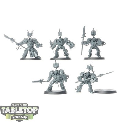 Grey Knights - 5x Grey Knights Paladins - unbemalt