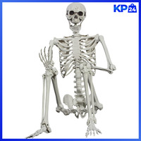 Halloween-Skelett 165Cm LebensgrößE Posable Menschliches Skelett Dekoration