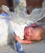 Mini bambola Wynter Fairy Reborn 8" kit pratico bambola con corpo colore fresco regalo