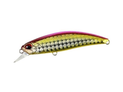Leurre Mer DUO Spearhead Ryuki 60S SW 6cm 6.5g Coulant Made in Japan COULEURS - Photo 8/11