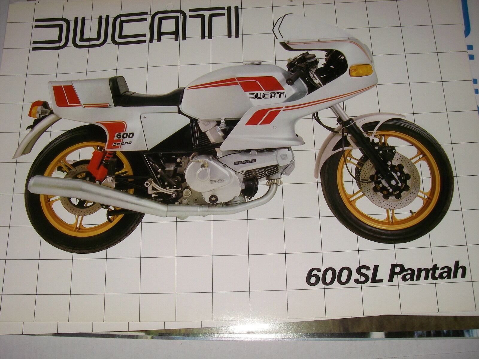 DUCATI 600 TL PANTAH (depliant-prosp​ekt-brochure) | eBay