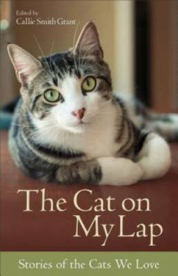 The Cat on My Lap: Stories of the Cats We Love - Paperback - GOOD